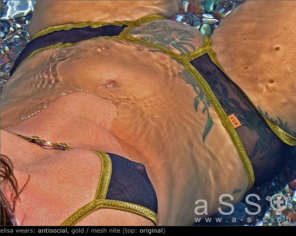 1517_1517