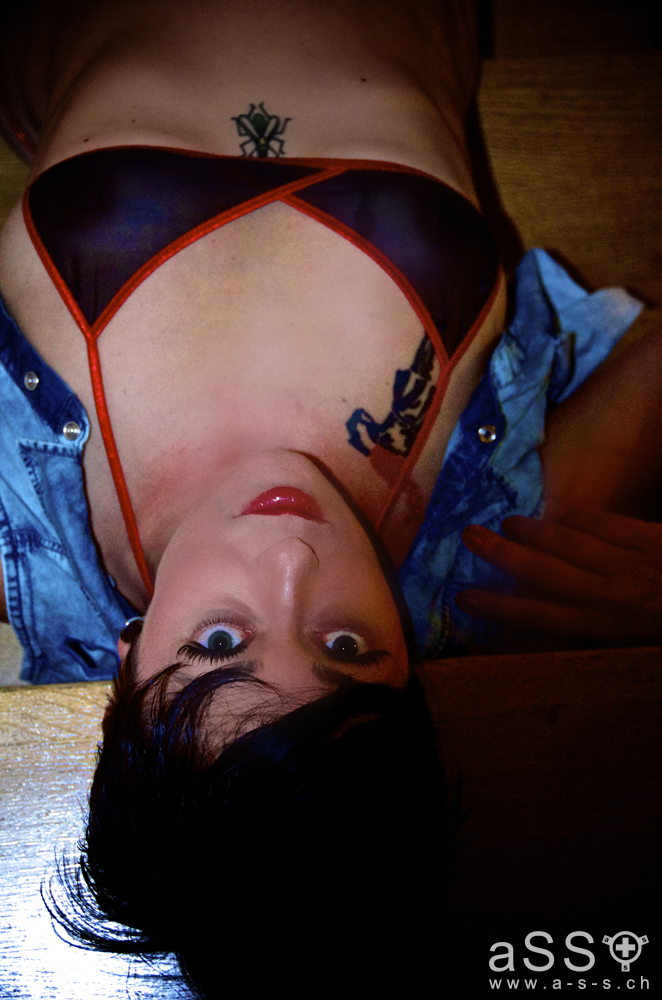 TigerLilly