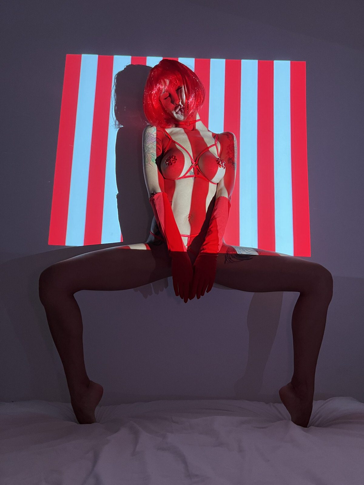 15295_IMG_3727